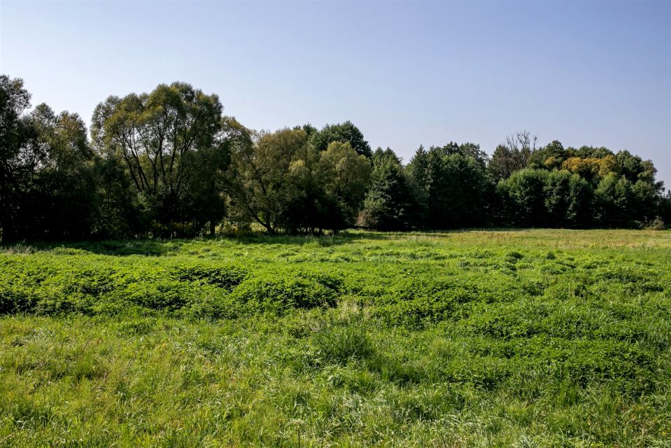 Działka usługowa Bydgoszcz