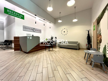 Lokal Czernica