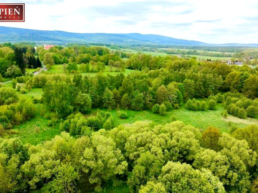 Działka budowlana Rębiszów