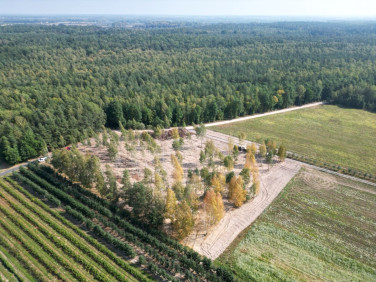 Działka Warszawa