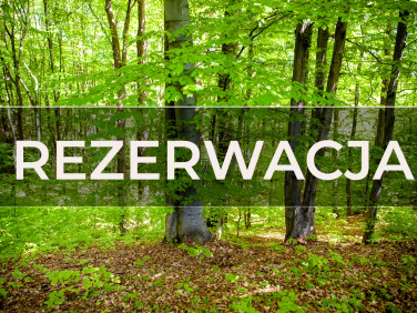 Zalesiona działka Cichawka