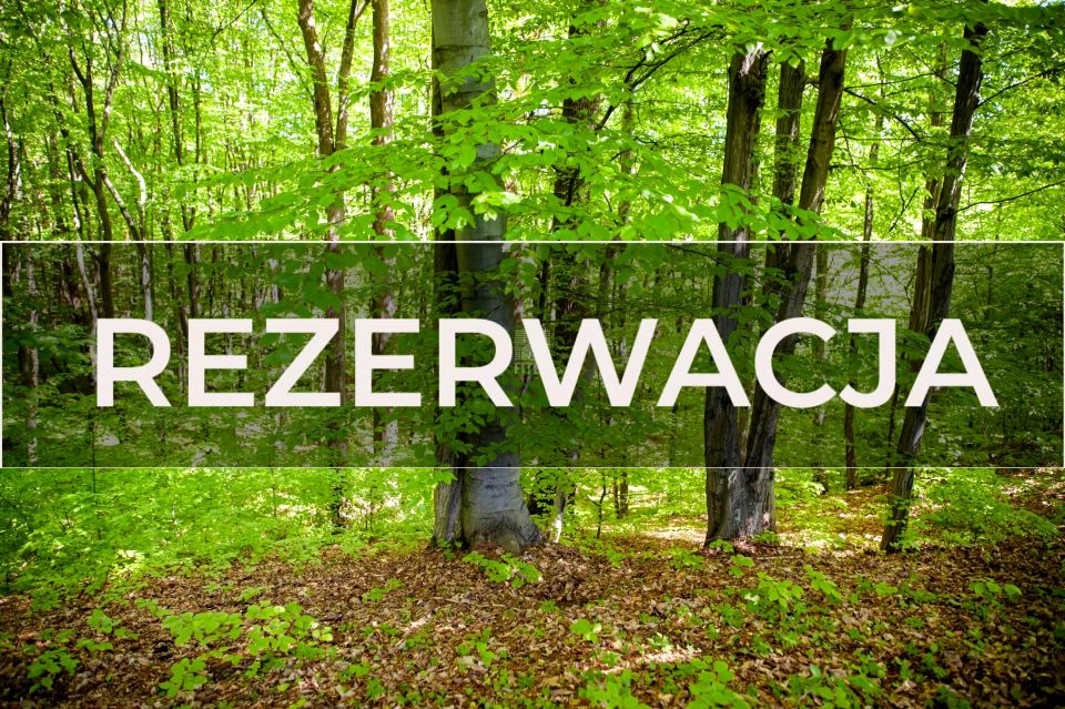 Zalesiona działka Cichawka