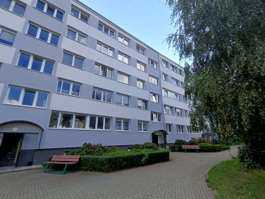 Mieszkanie Zgorzelec