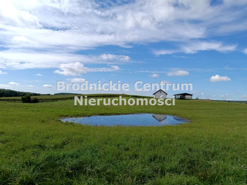 Zdjęcie 3