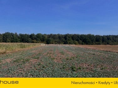 Działka rolna Pławniowice