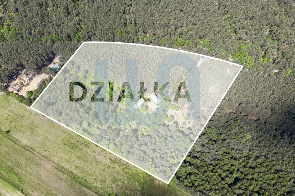 Działka WOLA WŁADYSŁAWOWSKA