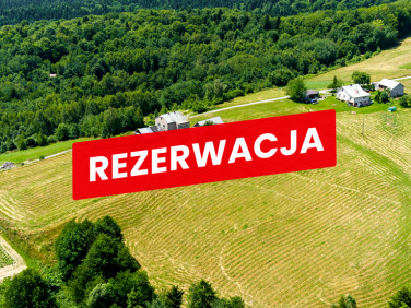 Działka ŻUROWA