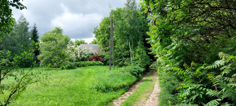 Działka siedliskowa Bronice-Kolonia