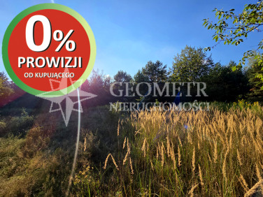 Działka budowlana Skierdy