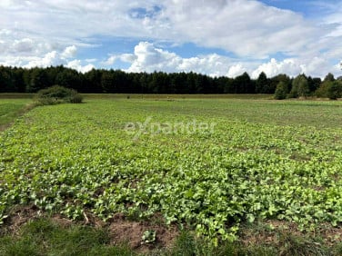 Działka Kalisz
