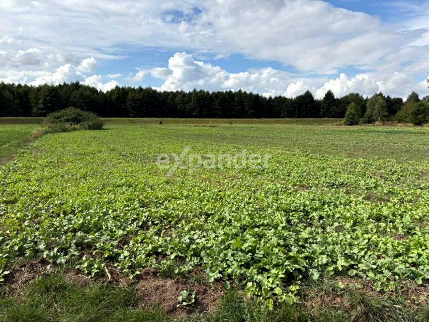 Działka Kalisz