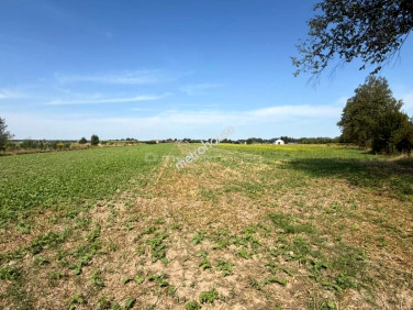 Działka budowlana Grabanów-Kolonia