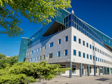 Lokal Warszawa