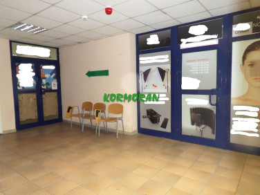 Lokal Opole