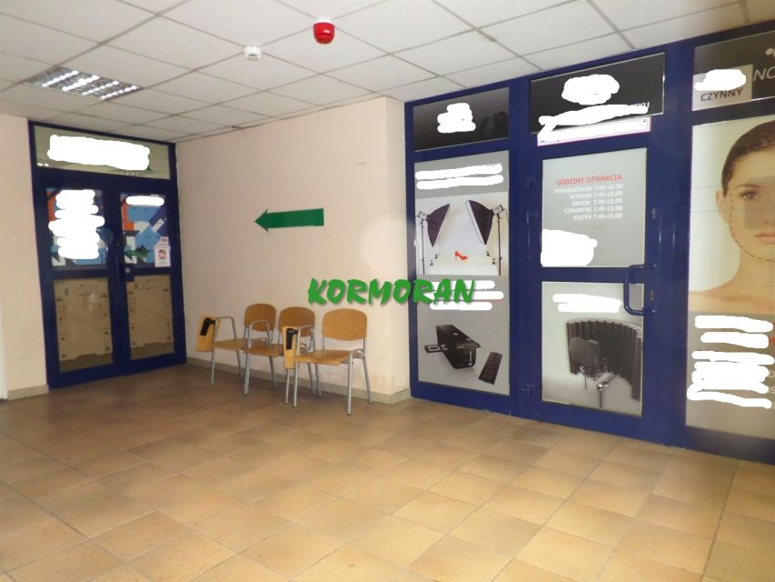 Lokal Opole