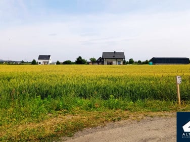Działka przy lesie