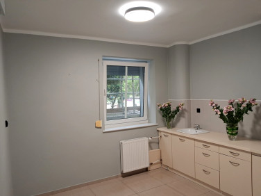 Lokal Szczecin