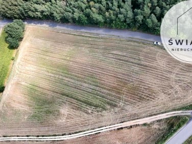 Działka budowlana Rogowo
