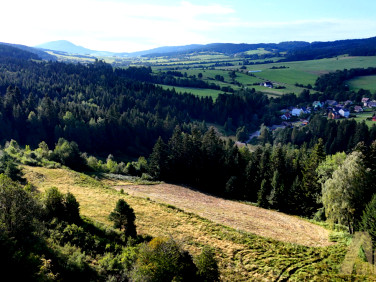 Działka leśna Piorunka