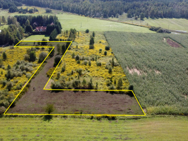 Działka Jonkowo