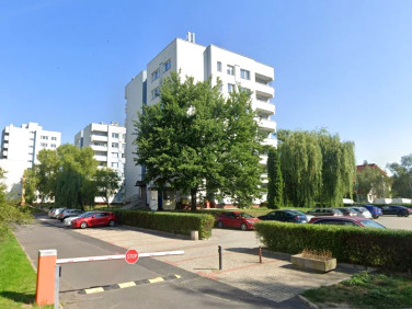 Lokal Warszawa
