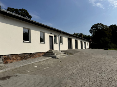 Lokal Toruń