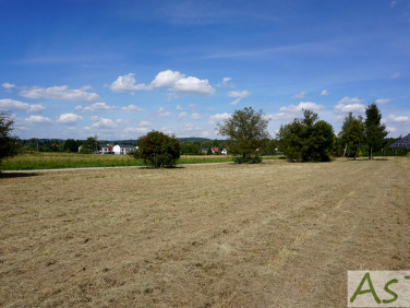 Działka Bolechowice