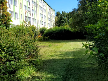 Mieszkanie Gdańsk