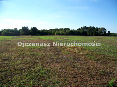 Działka budowlana Kruszyn