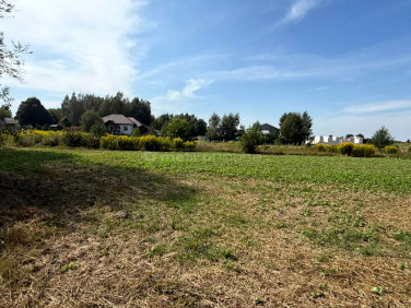 Działka Grabanów-Kolonia