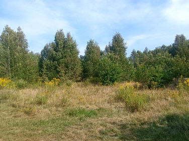 Działka rolna Łódź