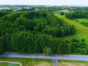 Działka Smolice