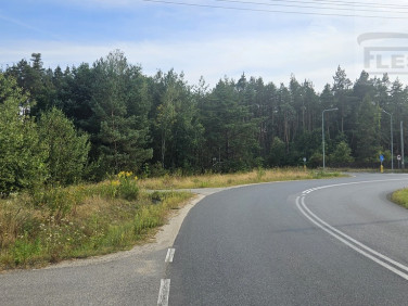 Działka Siestrzeń