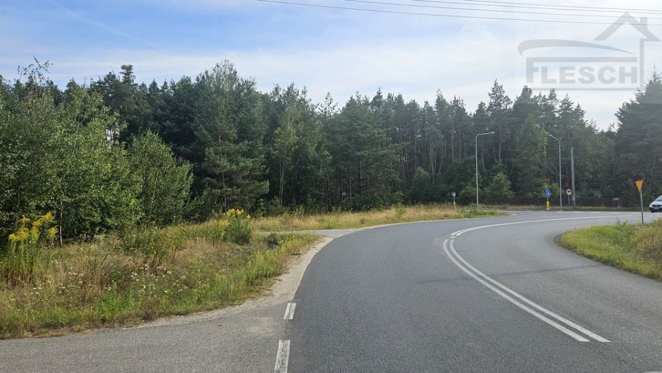Działka Siestrzeń