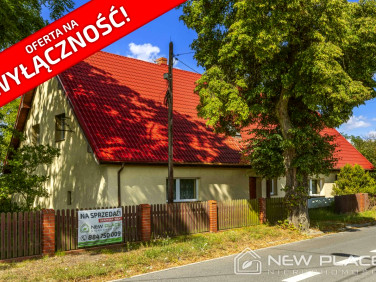 Dom Kadłub