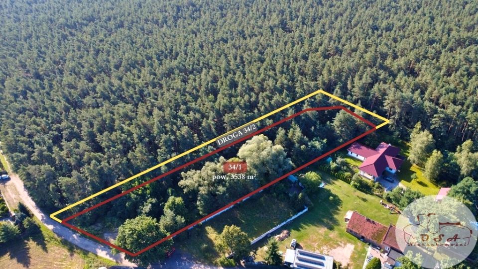 Działka przy lesie
