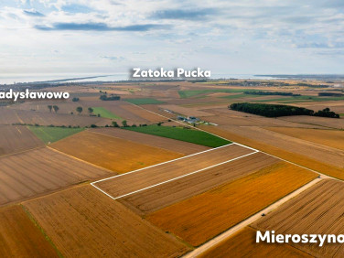 Działka rolna Mieroszyno