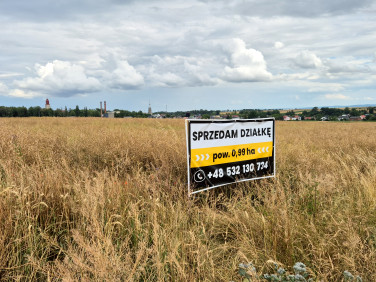 Działka budowlana Branice