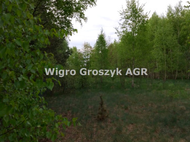 Działka Adamówek