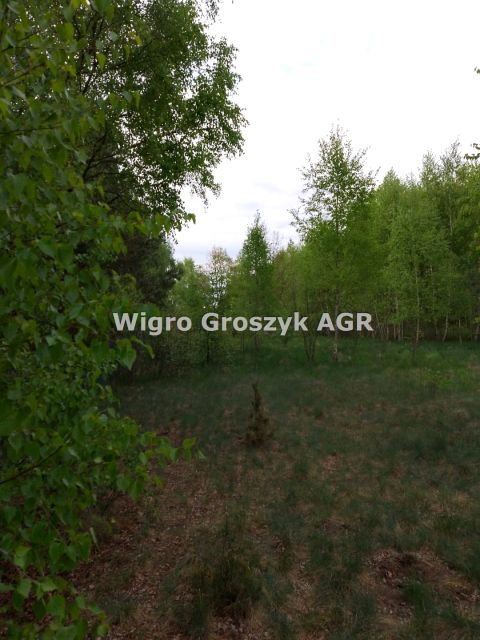Działka Adamówek