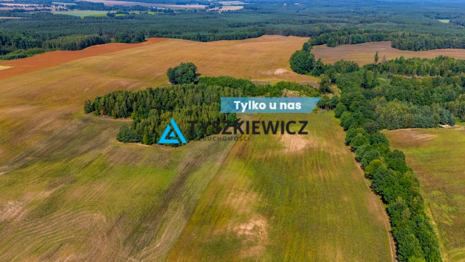 Działka przy lesie