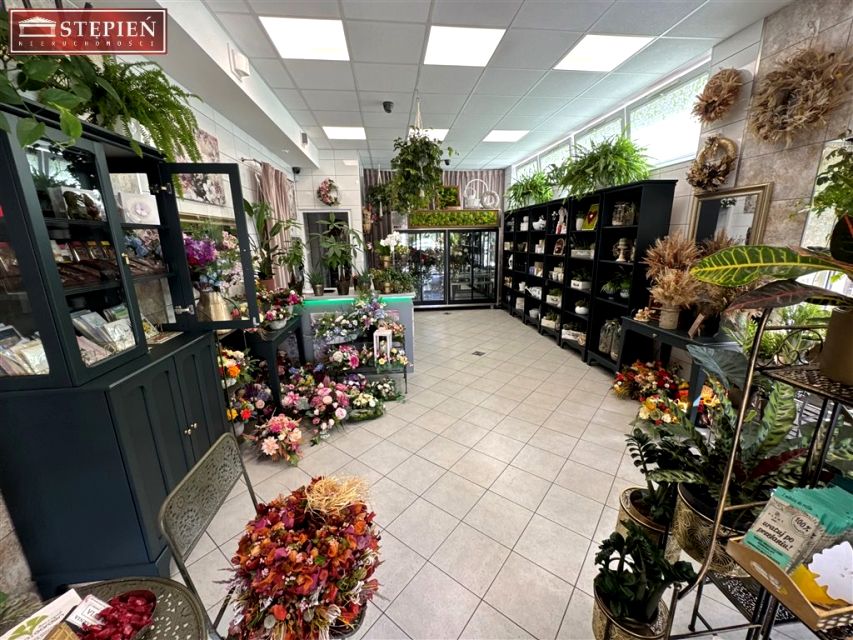 Lokal Jelenia Góra