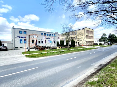 Lokal Rzeszów