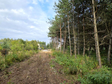 Działka Zawiercie