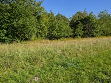 Działka budowlana Jadów
