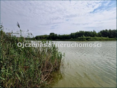 Działka Dobrcz