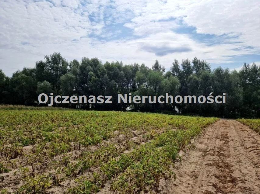 Zdjęcie 3