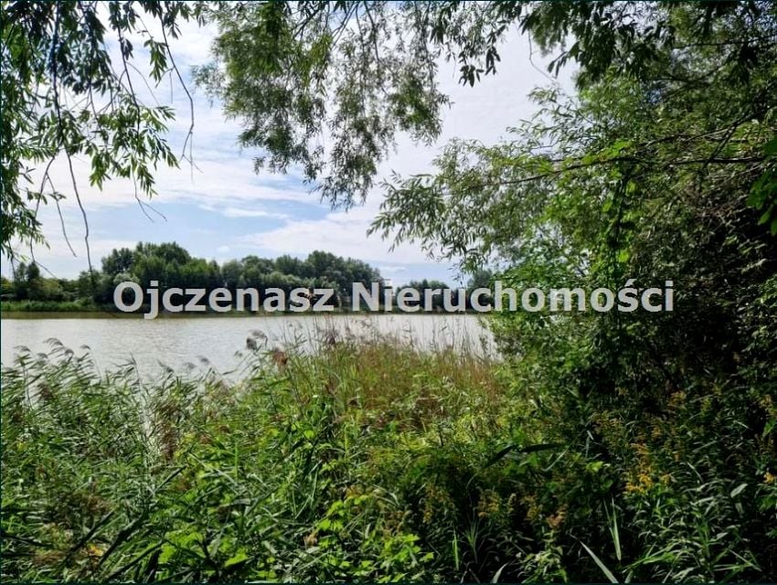 Zdjęcie 2