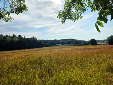 Działka Zimna Brzeźnica