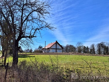 Dom Żabojady